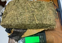 Polres Bima Kota Ungkap Peredaran Ganja 526,42 Gram, Lima Pengedar Diamankan