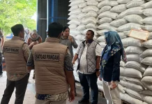 Stok Beras NTB Melimpah, Bulog Kirim Ribuan Ton ke Bali dan NTT