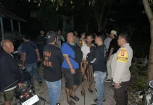 Polisi Gerebek Judi Sabung Ayam di Labuhan Badas