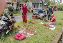 Babinsa Turun Langsung Pantau Harga Sembako