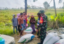 Serapan Gabah Petani Dikawal, Babinsa Kodim 1620/Loteng Turun Langsung ke Sawah