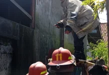 Diduga Arus Pendek Listrik, Rumah Warga di Pancor Terbakar