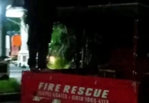 Damkar Lombok Tengah Evakuasi Musang Masuk Plafon Rumah Warga di Jelantik