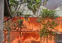 Rumah Panggung di Parado Ludes Terbakar, Kerugian Ratusan Juta