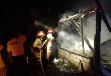 Damkartan Lombok Tengah, Gerak Cepat Padamkan Kebakaran di Kawasan Mandalika