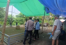 Sabung Ayam Ilegal di Kuripan Dibubarkan Polisi Secara Tegas