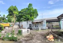 Rumah Potong Hewan Kediri Mangkrak, Warga Minta Pemkab Segera Bertindak