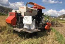 7.124 Kilogram GKP di Kelurahan Jatiwangi Diserap
