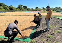 Bhabinkamtibmas Polres Bima Dampingi Petani Jemur Jagung saat Musim Hujan