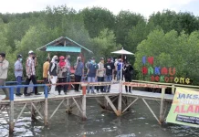 Tegakan Luar Kawasan Solusi Hutan Primer yang Terpinggirkan