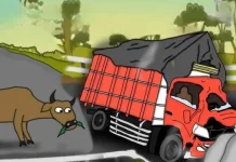 Truk Pengangkut Sapi Tujuan Jabodetabek Terguling, Dua Orang Tewas