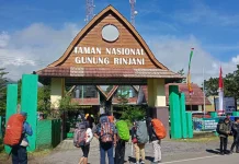 Wajah Baru Pendakian Gunung Rinjani, BTNGR Luncurkan Go Rinjani 7.0