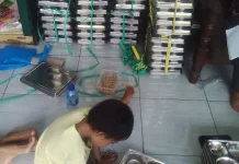 Waduh! 80 Dapur MBG di Lombok Tengah Ditutup BGN, Ini Daftarnya