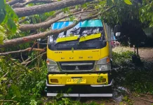 Angin Kencang Terjang Dompu, Rumah Rusak dan Akses Jalan Terganggu