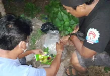 Sekilo Sabu-sabu Berbungkus Teh Cina Guan Yin Wang Terungkap di Lombok Timur
