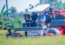 Bulog NTB Tancap Gas Serap Hasil Panen, Capai 29,26 Persen dari Target 2026