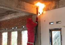 Ganggu Aktifitas Santri di Pringgasela, Damkarmat Lotim Evakuasi Sarang Tawon