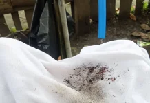 Produksi Air PDAM Dompu Berulat dan Berbau Menyengat