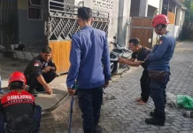 Berpotensi Membahayakan, Damkarmat Lombok Timur Evakuasi Ular dari Rumah Warga
