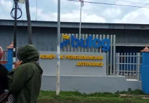 Petani Jagung di Bima Keluhkan Syarat Penjualan ke Bulog, Pilih Jual ke Tengkulak