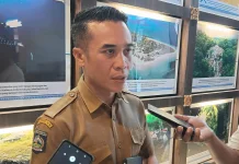 Perseroda Sumbawa, Revitalisasi atau Suntik Mati