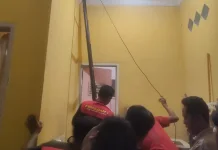 Damkarmat Lotim Evakuasi Musang dari Plafon Rumah Warga