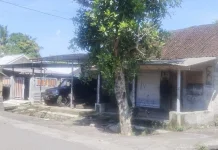 Akses Pasar Rusak Parah, Warga Tambal Jalan Sendiri