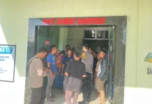 Tragis, Bocah 11 Tahun di Sikur Meninggal Diserang Anjing Liar