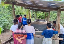 Perkuat Pemberdayaan Ekonomi Lokal, PLN Bantu Peternak