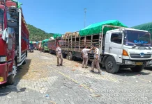Dipuji Peternak, Pengiriman Hewan Kurban NTB ke Jabodetabek Lebih Tertata