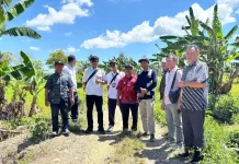 Usulan Program PISEW Diverifikasi, Fokus Peningkatan Jalan Sebewe-Penyaring