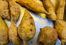 Ubi Cilembu Panggang Manis Alami Sehat Cocok Diet