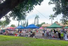 Penataan PKL Eks Bandara Selaparang Lebih Seragam