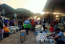 Pemkot Mataram Kebut Pasar Ikan Bersih KNMP