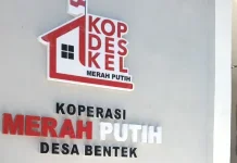 Pemanfaatan Aset Daerah untuk KDMP di KLU Mengacu Mekanisme Sewa