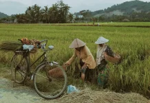 Infrastruktur SDA Fondasi Menguatkan Ketahanan Pangan NTB