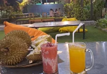 Sensasi Menikmati Durian Sepanjang Tahun di Kota Mataram