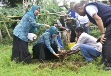 Hijaukan Lambitu, Gerakan Perempuan Bima Tanam Harapan untuk Masa Depan