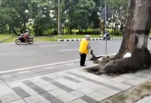 Di Balik Bersihnya Mataram, Ada Kerja Keras yang Tak Libur di Hari Buruh