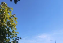 Cuaca Wekeend Berawan Sepanjang Hari