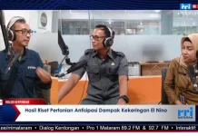 Kota Mataram Antisipasi Fenomena El Nino Berulang lewat Riset