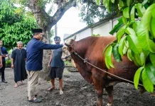 Pemprov NTB Siapkan Ratusan Hewan Kurban untuk Warga Miskin Ekstrem