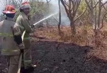Waspada Karhutla, Sinergi Pemerintah dan Masyarakat Jaga Kawasan Rinjani