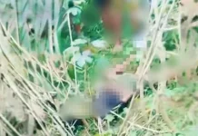 Penemuan Mayat Remaja 15 Tahun di Bima Gegerkan Warga