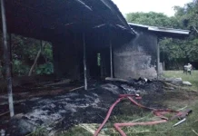 Bangunan Pengolahan Sampah di Bima Ludes Terbakar