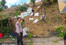 Polsek Sape Pantau Proses Panen Jagung dan Sosialisasikan Penyerapan oleh BULOG
