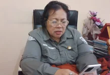 Pengadaan Bibit Bawang Upland Mulai Ditender