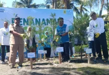 PLN EPI Tanam Ribuan Pohon di Pesisir Lombok Barat Perkuat Ekosistem Lestari