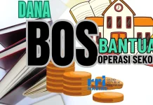 Wacana Gaji Guru PPPK PW Dibebankan ke Dana BOS Dinilai Problematik