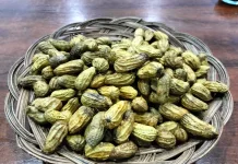 Kacang Rebus Tetap Aman, Asal Tak Berlebihan